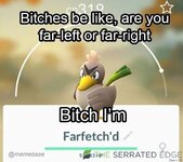 images (32).jpeg