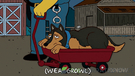 giphy - 2025-09-09T090340.831.gif