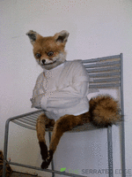 giphy - 2025-09-09T092653.423.gif