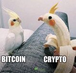 IMG_0653.jpeg