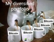IMG_0681.jpeg