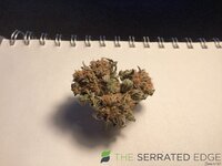 IMG_0585.jpeg