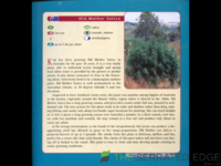 IMG_0587.png