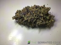 IMG_3274.jpeg
