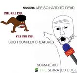 IMG_0803.jpeg
