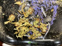 IMG_1031.jpeg