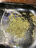 IMG_1033.jpeg