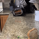 giphy - 2025-09-16T120326.318.gif