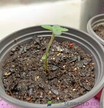 IMG_20250918_160445.jpg
