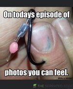 IMG_1419.jpeg
