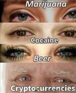 IMG_1552.jpeg