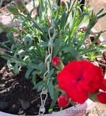 IMG_20250925_122919_HDR~2.jpg