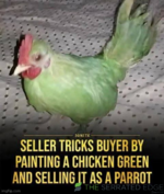 1758933303830.png