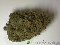 IMG_3302.jpeg