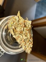 IMG_1838.jpeg
