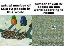 5f44c3d1373b0.jpeg