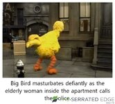 IMG_1878.jpeg
