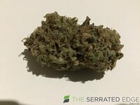 IMG_3313.jpeg