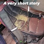 IMG_1946.jpeg