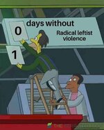 IMG_2124.jpeg