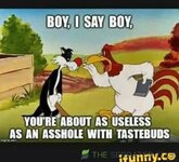 IMG_2166.jpeg