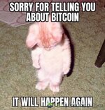 IMG_2100.jpeg