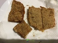 IMG_3336.jpeg
