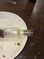 IMG_2419.jpeg