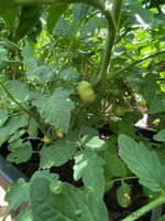 IMG_20251018_114839.jpg