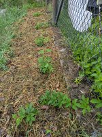 PXL_20251024_204101827.jpg PXL_20251024_204101827.jpg