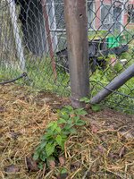 PXL_20251024_204039871.jpg PXL_20251024_204039871.jpg