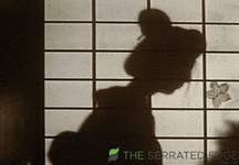 giphy - 2025-11-11T222651.234.gif