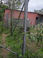 PXL_20251125_053527323.MP.jpg PXL_20251125_053527323.MP.jpg