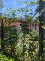 PXL_20251213_020013740.jpg PXL_20251213_020013740.jpg