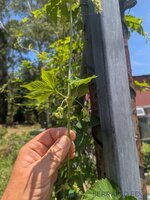 PXL_20251213_020002332.jpg PXL_20251213_020002332.jpg