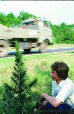 1765887383293.jpeg 1765887383293.jpeg