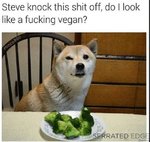 dog-meme-about-not-wanting-to-eat-veggies-because-hes-not-vegan.jpg