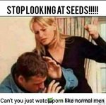 FB_IMG_1605332686232.jpg