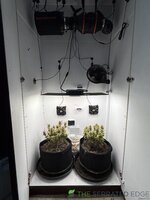 IMG_6032.jpeg IMG_6032.jpeg