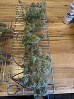 IMG_6053.jpeg IMG_6053.jpeg