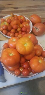 20260201_111200.jpg 20260201_111200.jpg