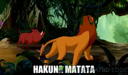 1769905531758.gif 1769905531758.gif