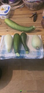 20260201_113419.jpg 20260201_113419.jpg