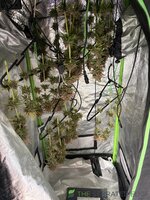 tempImagejJ2OiT.jpg tempImagejJ2OiT.jpg