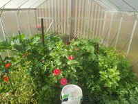 image-1771537403612.jpg image-1771537403612.jpg