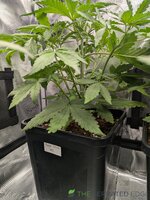 1000000696.jpg 1000000696.jpg