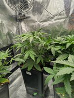 1000000697.jpg 1000000697.jpg