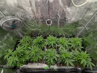 1000000698.jpg 1000000698.jpg