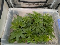 1000000817.jpg 1000000817.jpg