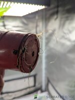 1000000818.jpg 1000000818.jpg